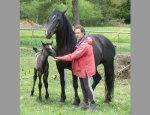 Photo FERME EQUESTRE L'EPERON