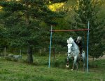 Photo FERME EQUESTRE L'EPERON