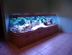 Photo AQUA EXOTIC