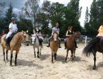 Photo CHEVAL EN BELINOIS