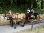 Photo LES CALECHES DU SARLADAIS MARIAGE EN CALÈCHE