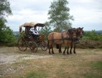 LES CALECHES DU SARLADAIS MARIAGE EN CALÈCHE