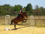 Photo CENTRE EQUESTRE MEJANNES LE CLAP