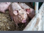 Photo FERME DE MONEUSE SARL