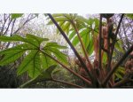 Photo JARDIN D'ART ET D'ESSAIS