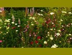 Photo JARDIN D'ART ET D'ESSAIS