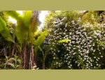 Photo JARDIN D'ART ET D'ESSAIS