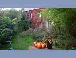 Photo JARDIN D'ART ET D'ESSAIS