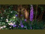 Photo JARDIN D'ART ET D'ESSAIS