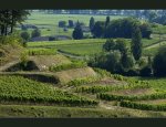 Photo CHATEAU DE PRESSAC