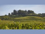 Photo CHATEAU DE PRESSAC