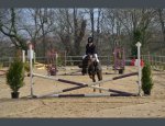 Photo HARAS DE LA SALMONIERE (CENTRE EQUESTRE-ÉLEVAGE)