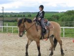 HARAS DE LA SALMONIERE (CENTRE EQUESTRE-ÉLEVAGE)