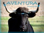 GANADERIA AVENTURA
