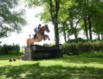 Photo CENTRE EQUESTRE PONEY-CLUB LA FOUCHERAIE