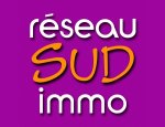 RESEAU SUD IMMO
