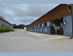 Photo CENTRE EQUESTRE LANN ER ROCH