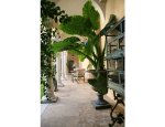 Photo JARDINS SECRETS