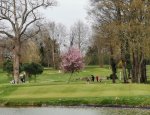 Photo GOLF DE LA VALLADE SARL