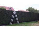 MC ESPACES VERTS PAYSAGISTE
