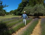 Photo GITES LES NIDS DU LUBERON
