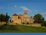 CHATEAU HISTORIQUE DE PIERRECLOS