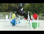 Photo CERCLE HIPPIQUE D'OLIVET