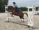 EARL SAINT VALAY EQUITATION