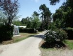 Photo CAMPING LES PINS
