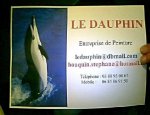 LE DAUPHIN