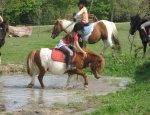 Photo DOMAINE EQUESTRE DE QUERELO