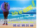LES ECURIES DE SAINT ANNE