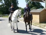 Photo CENTRE EQUESTRE DE LA SCIE