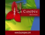 LA CANOPÉE