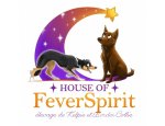 Photo FEVER EDUCATION CANINE