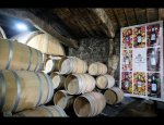 Photo DOMAINE DE LA HIGUÈRE VIGNOBLES ESQUIRO