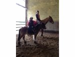 Photo CENTRE EQUESTRE DE SAINT DIZIER