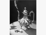 Photo GARANDEAU PHOTO