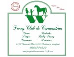 Photo PONEY CLUB DE CARMANTRAN