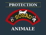 Photo ASSOCIATION SOS ANIMAUX EN DETRESSE