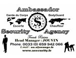 AMBASSADOR SECURITY  AGENCY