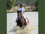 BESSY EQUITATION