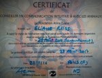 Photo COMMUNICATION ANIMALE ELIANE REISS