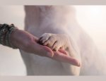 Photo COMMUNICATION ANIMALE ELIANE REISS