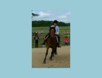 Photo FERME EQUESTRE DE VALBERTIER