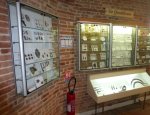 Photo MUSEE ARCHEOLOGIQUE DE VILLARIES - ARAV
