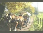 Photo LA FERME EQUESTRE DE ST LAURENT