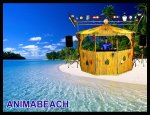 Photo ANIMABEACH - ANIMATION DE MARIAGE