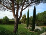Photo JARDIN VERT SERVICES