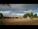 CENTRE EQUESTRE DES CHABOISSIERES